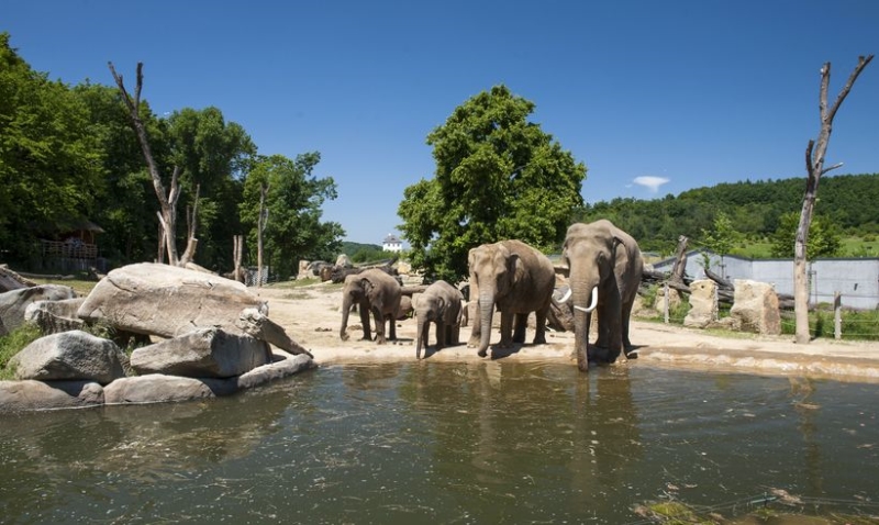 ZOO Praha