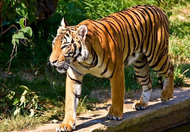 ZOO Olomouc