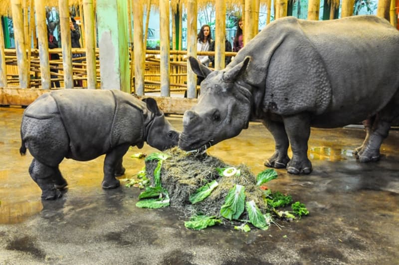 Zoo Plzeň