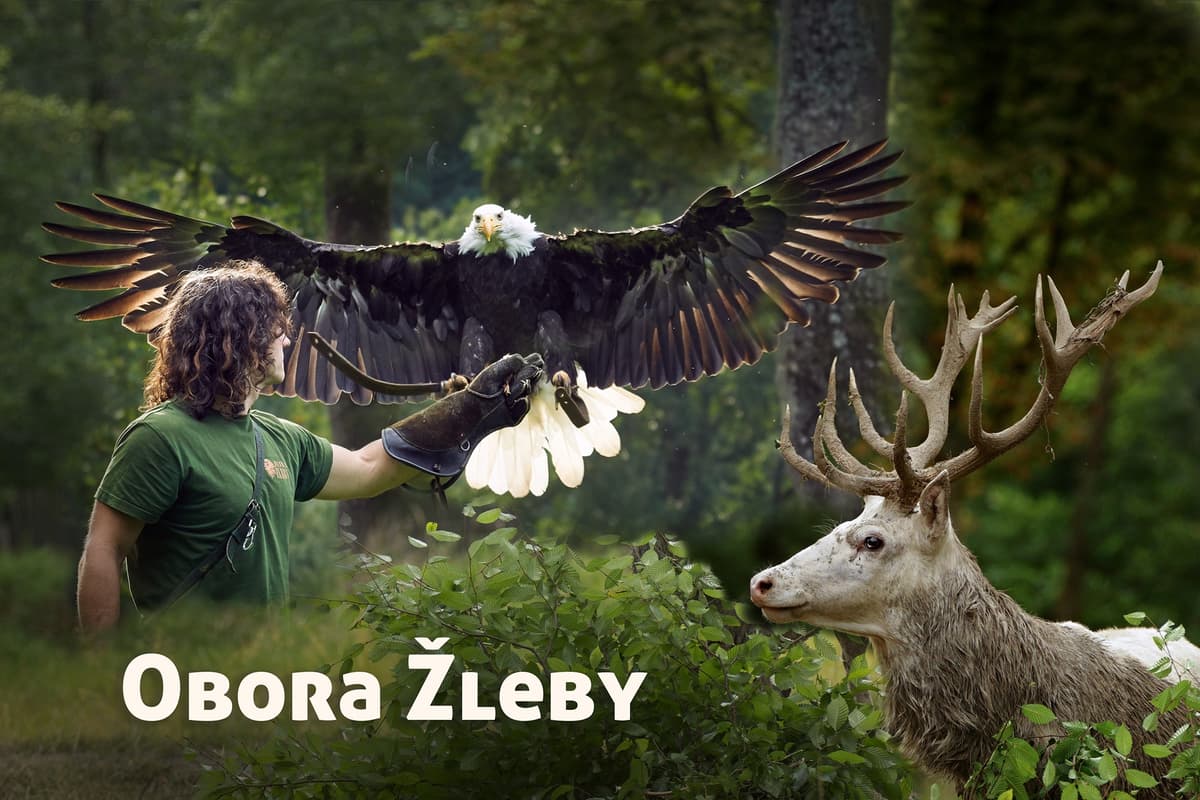 ZOO park u zámku Žleby