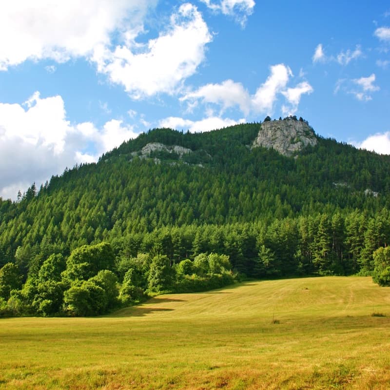 Čerenová skala
