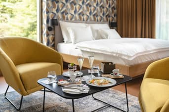 Hotel Bronzo v zime