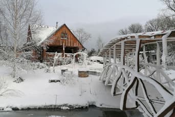 Drevenica pod vŕbami s farmou a zvieratami im Winter