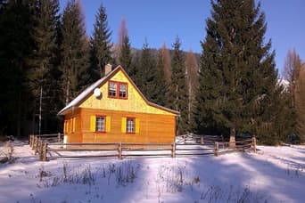 Cottage Lesovňa in the winter