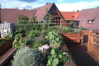 Apartmány Zuzana - Family House v lete