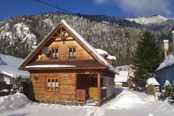 Cottage Delstan in the winter