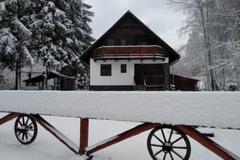 Cottage Zuzana in the winter