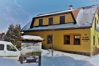 Na skle maľované v zime