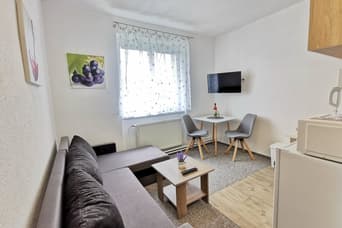 Appartements Star im Winter