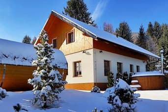 Cottages Vichrovky in the winter