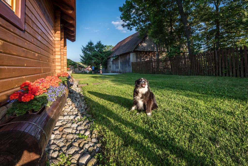 Teren zewnętrzny - Domek a Apartamenty Montana