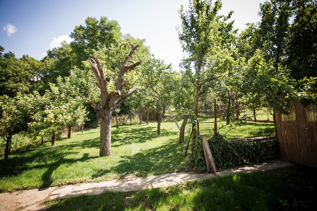 Domek U Ježka 587255