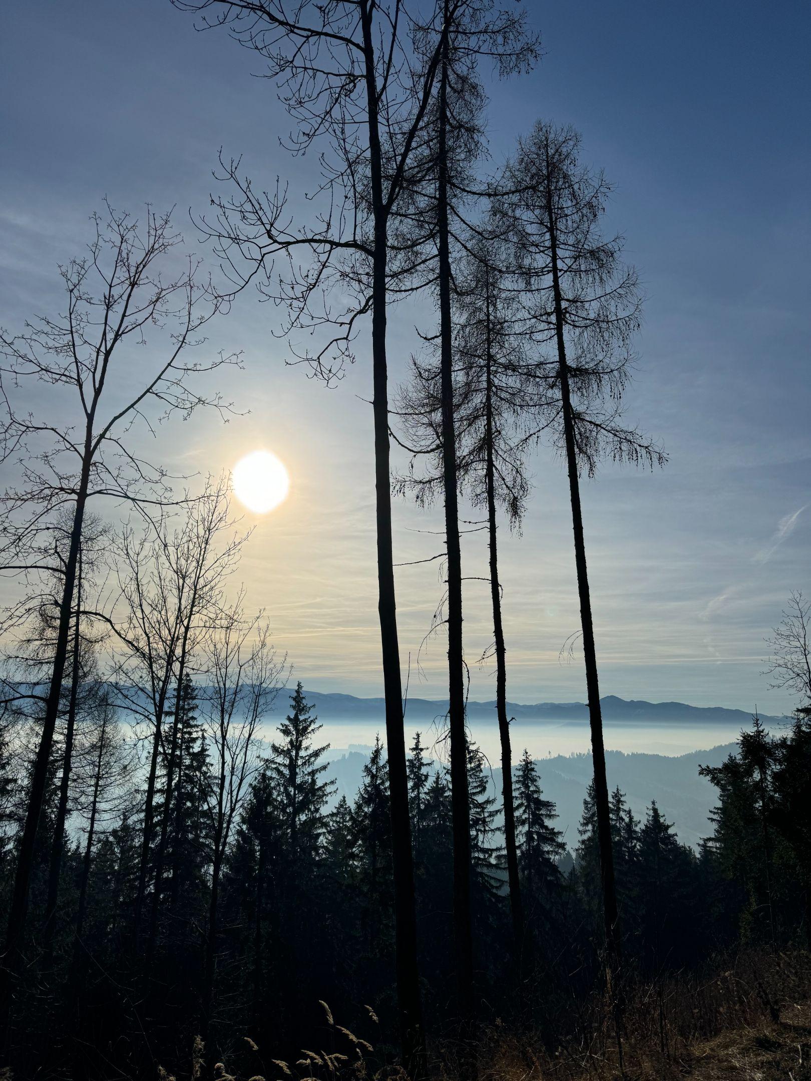 Umgebung - Ferienhaus Aninka