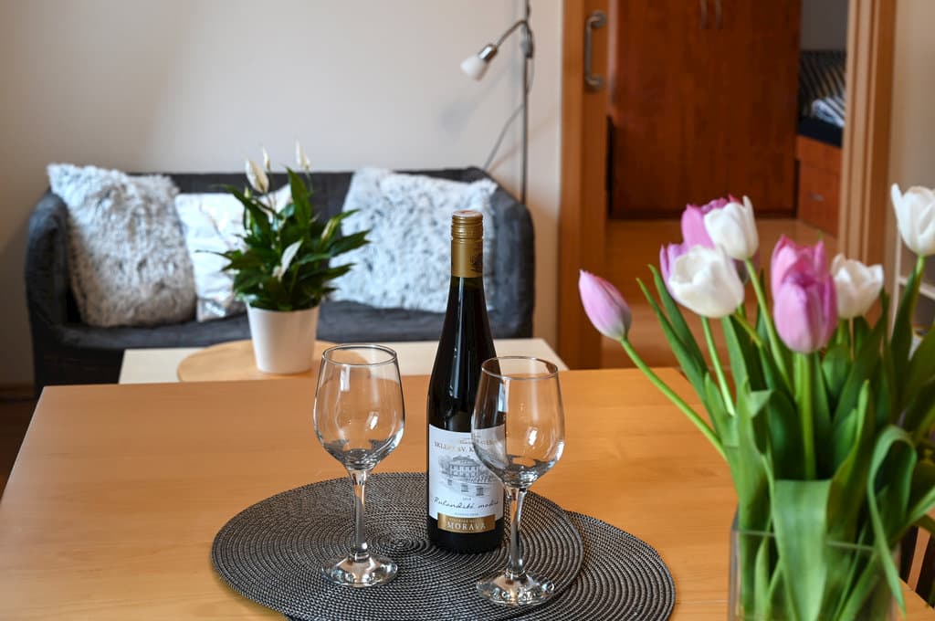 Appartement mit 2 Schlafzimmern  - Ferienwohnung pod Šerákem