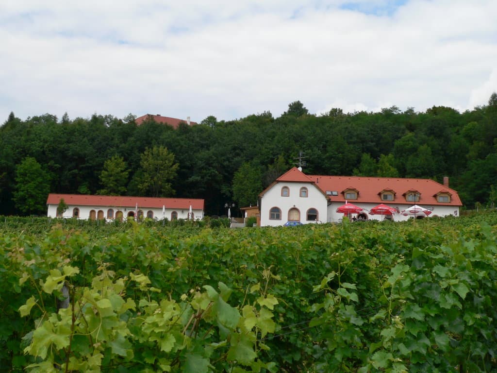 Vinařství v obci - Historický statek Kojetice