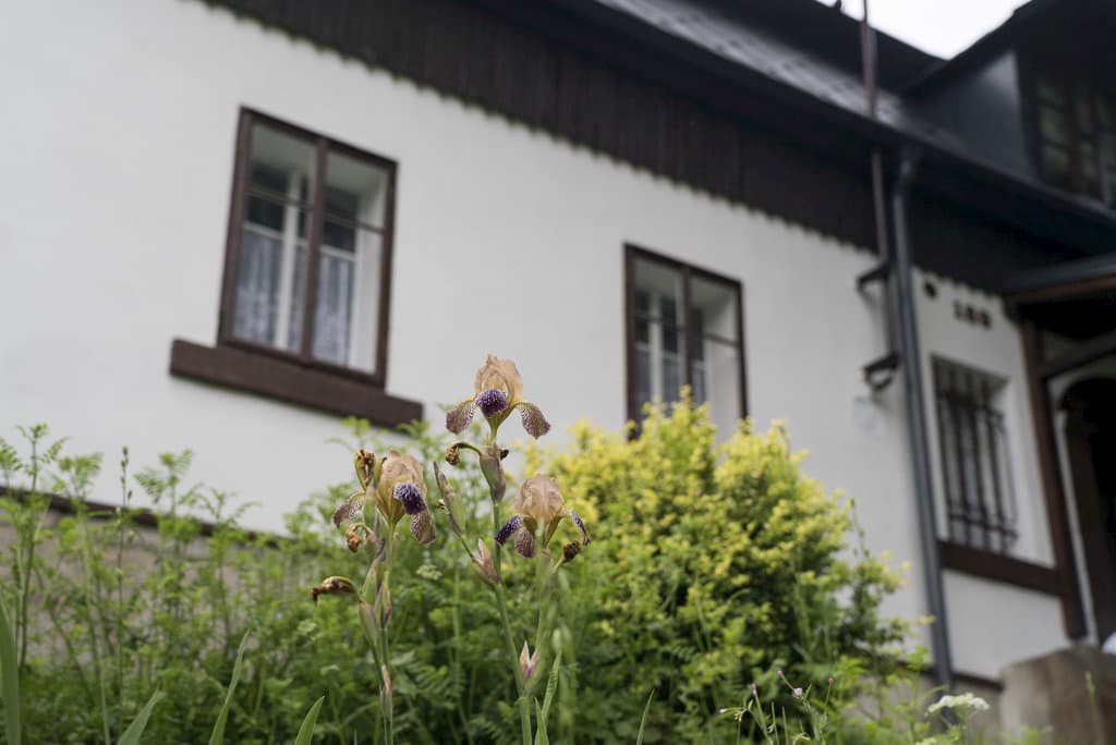 Skalka před vstupem - Chalupa u Pospeců