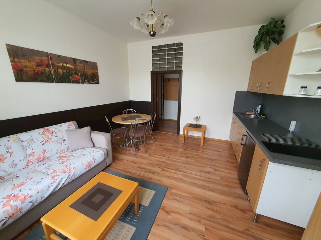 Apartment 1 bedroom  - Apartmá na Hané