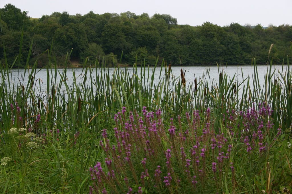 Okolí - Dovolenkový byt Pomaranč Teplý Vrch