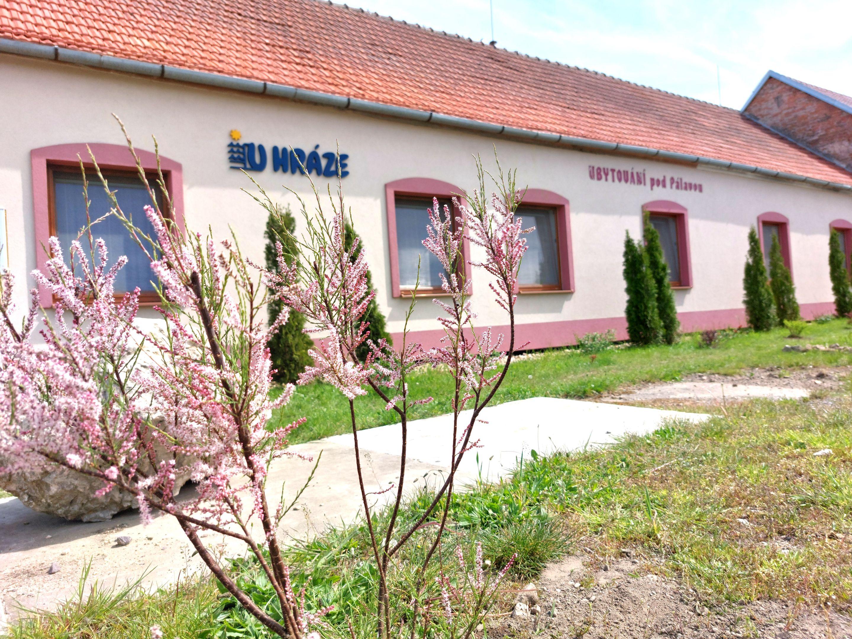 Teren zewnętrzny - Ubytování pod Pálavou - U HRÁZE