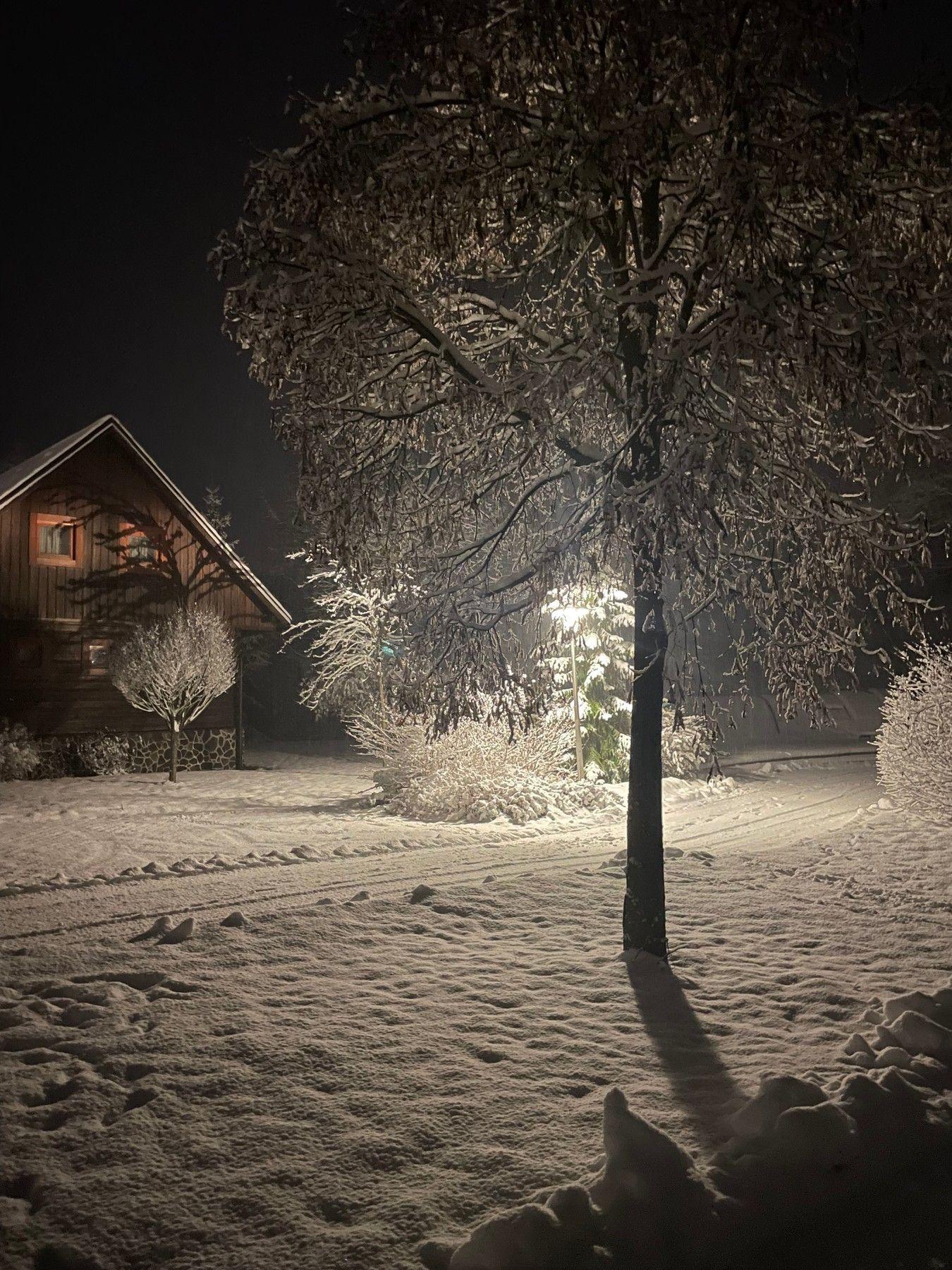 Teren zewnętrzny - Domek drewniany Gloria