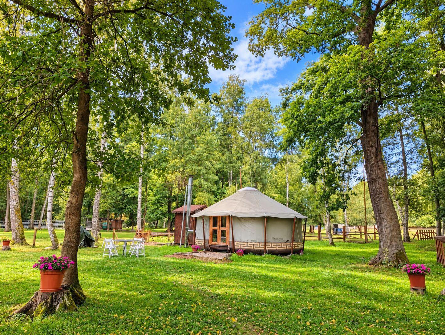 Yurt on the farm