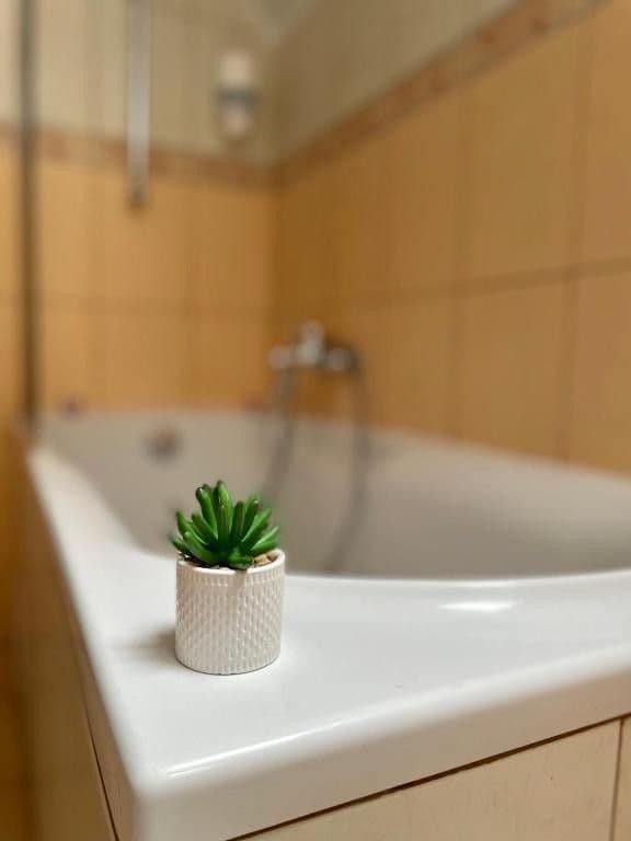 Appartement mit 5 Schlafzimmern  - Central Apartment Fun & Teambuilding