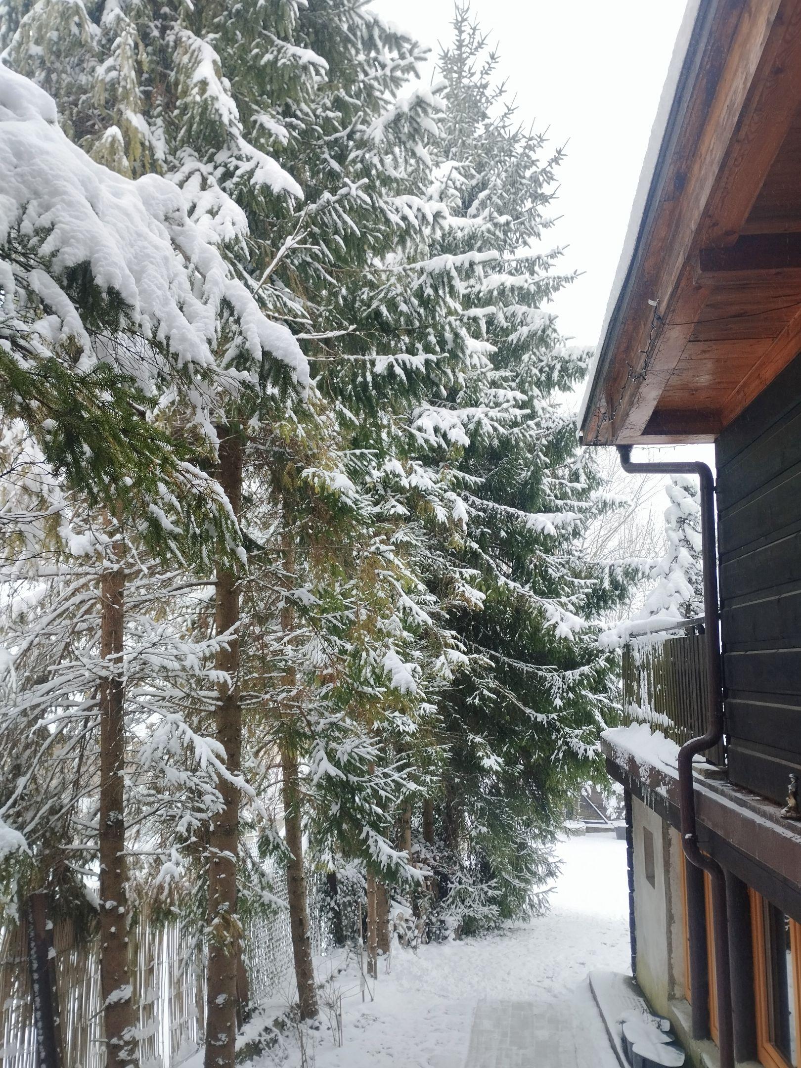 Teren zewnętrzny - Drevenica u Holtána