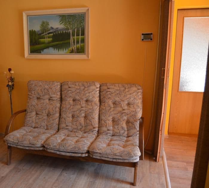 Apartment 3 bedrooms  - Apartment Na Staré pekárně