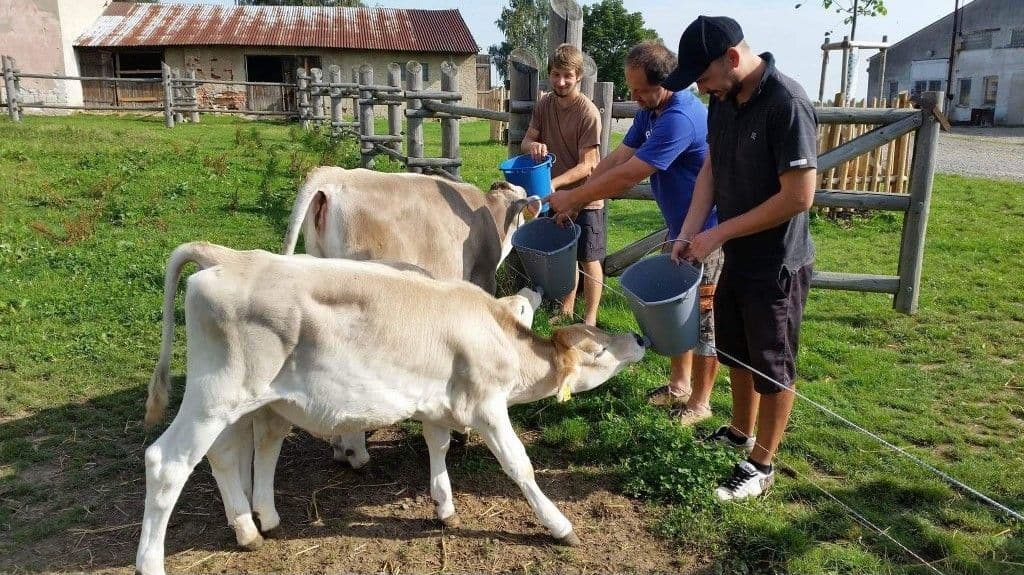 Teren zewnętrzny - Aartamenty Sýpka Farma Bláto