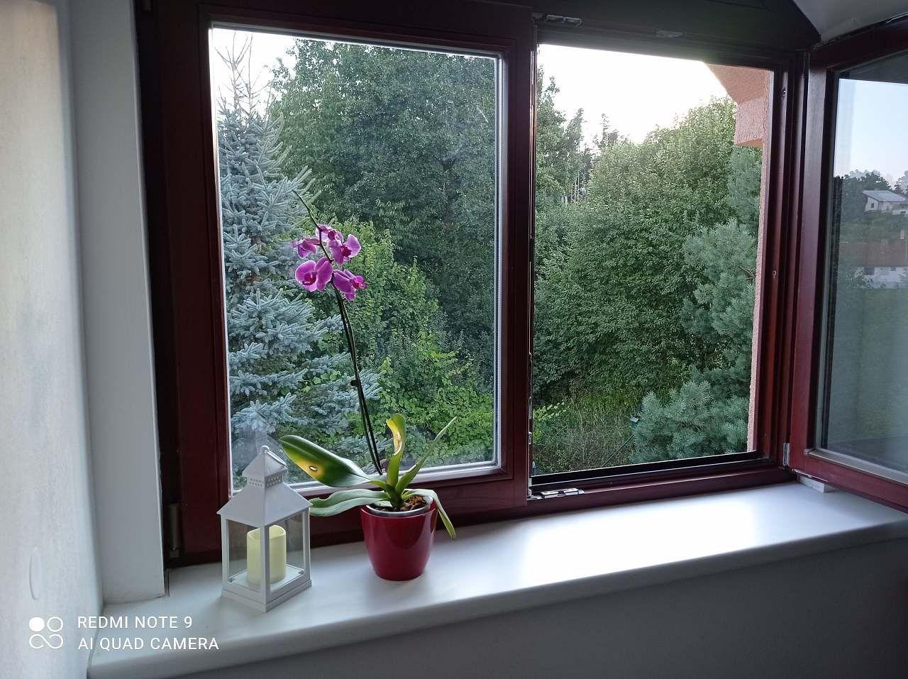 Pokój trzyosobowy  - Apartmány u Orlického jezera