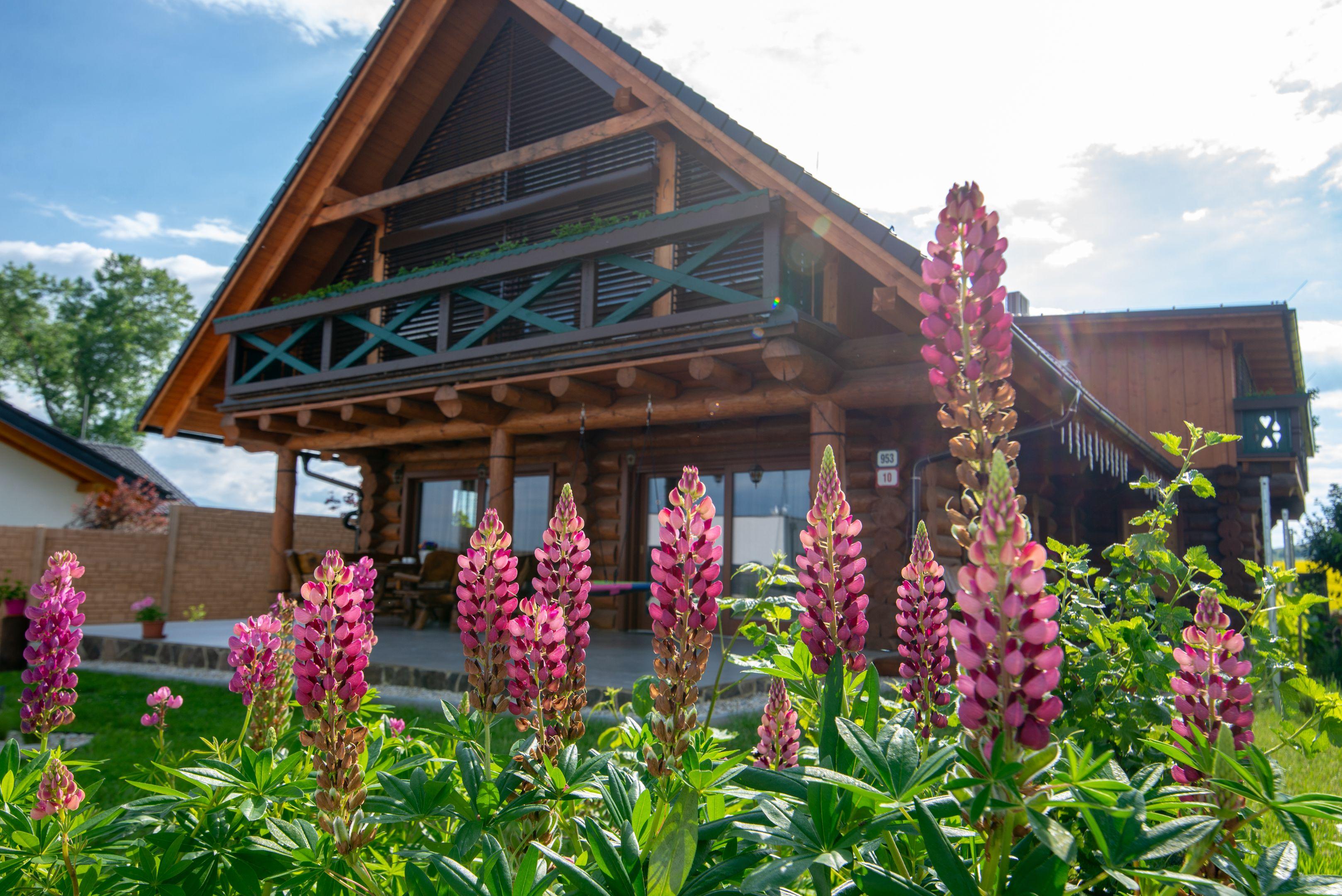  Zrub Kriváň - Chalet with Mountain View im Sommer