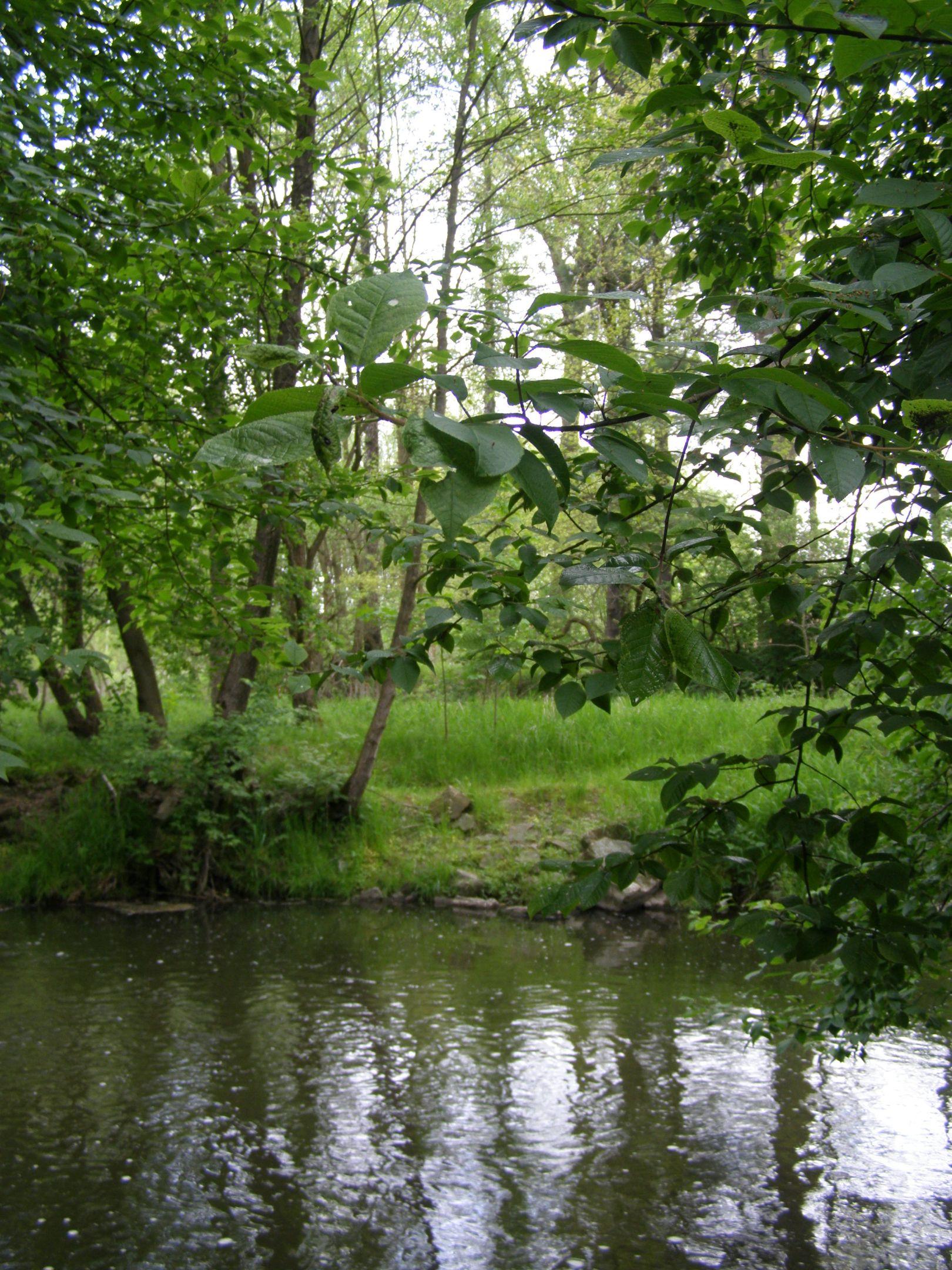 Exteriér - Mlýn Radouňka