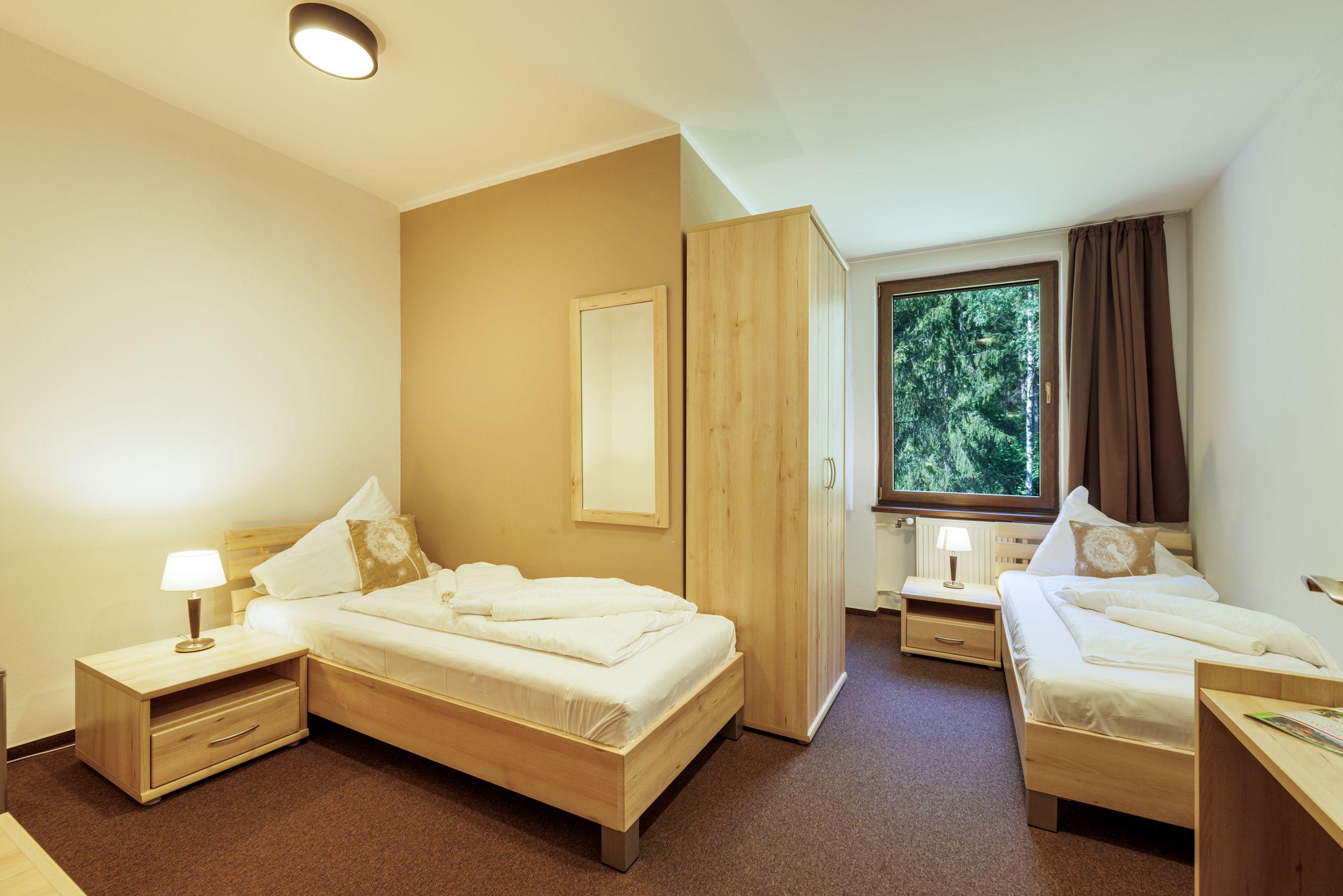 Dvojlôžková izba s oddelenými lôžkami  - Lopušná dolina Resort