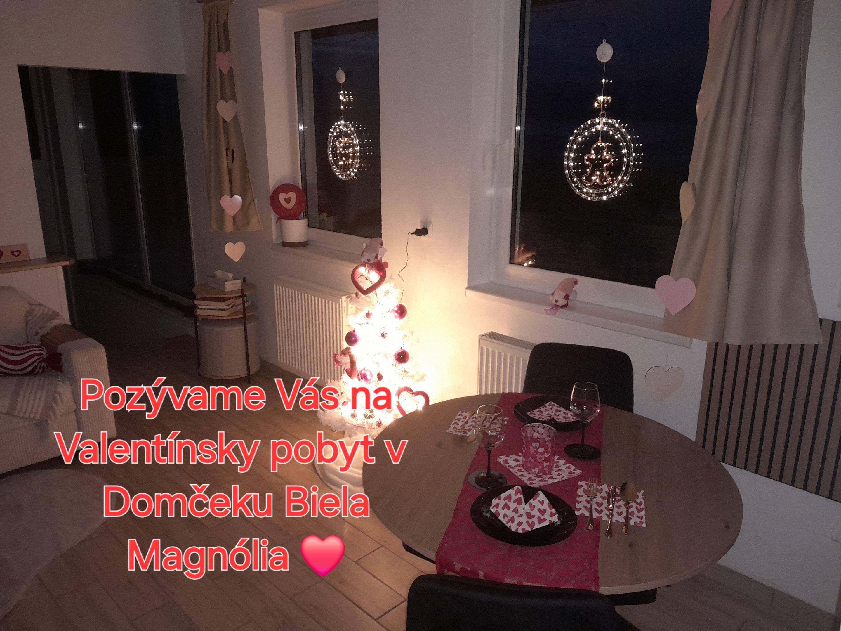 Domček Biela Magnólia im Winter