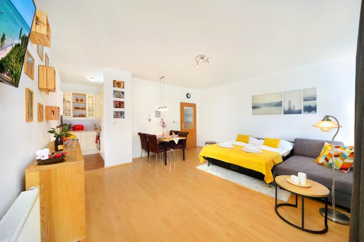 Apartament z 1 sypialnią  - Holiday Dream - Apartmány Špindlerův Mlýn