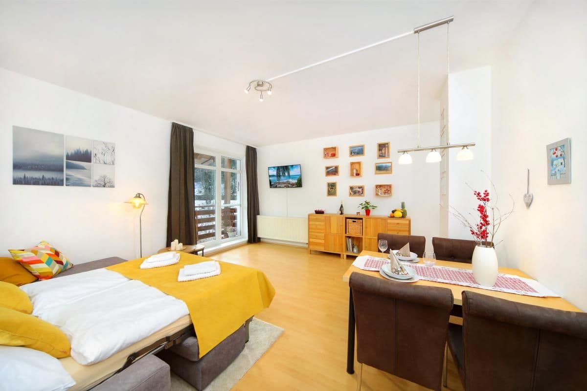 Apartament z 1 sypialnią  - Holiday Dream - Apartmány Špindlerův Mlýn