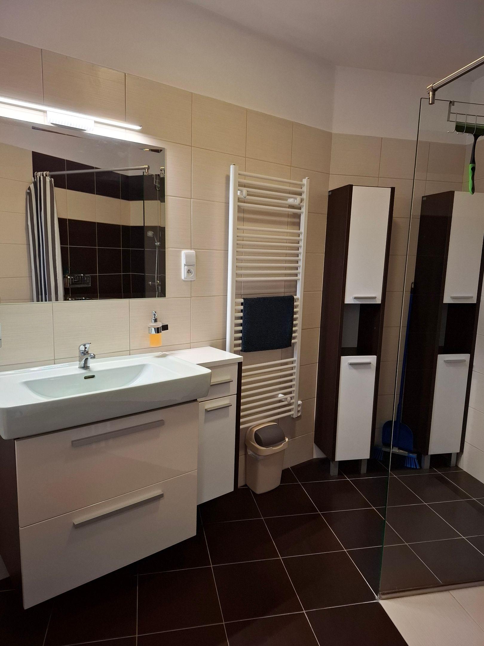 Apartment 1 bedroom  - Apartmány pod Divadlem