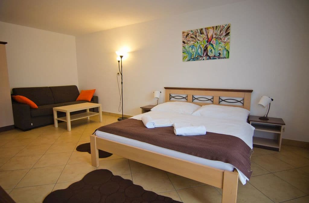 Dvojlôžková izba s manželskou posteľou  - Garni Hotel Fatra