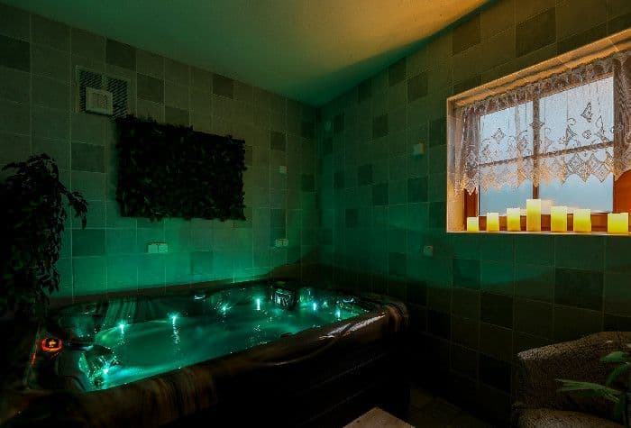 Apartment 1 bedroom  - Pension Pintovka