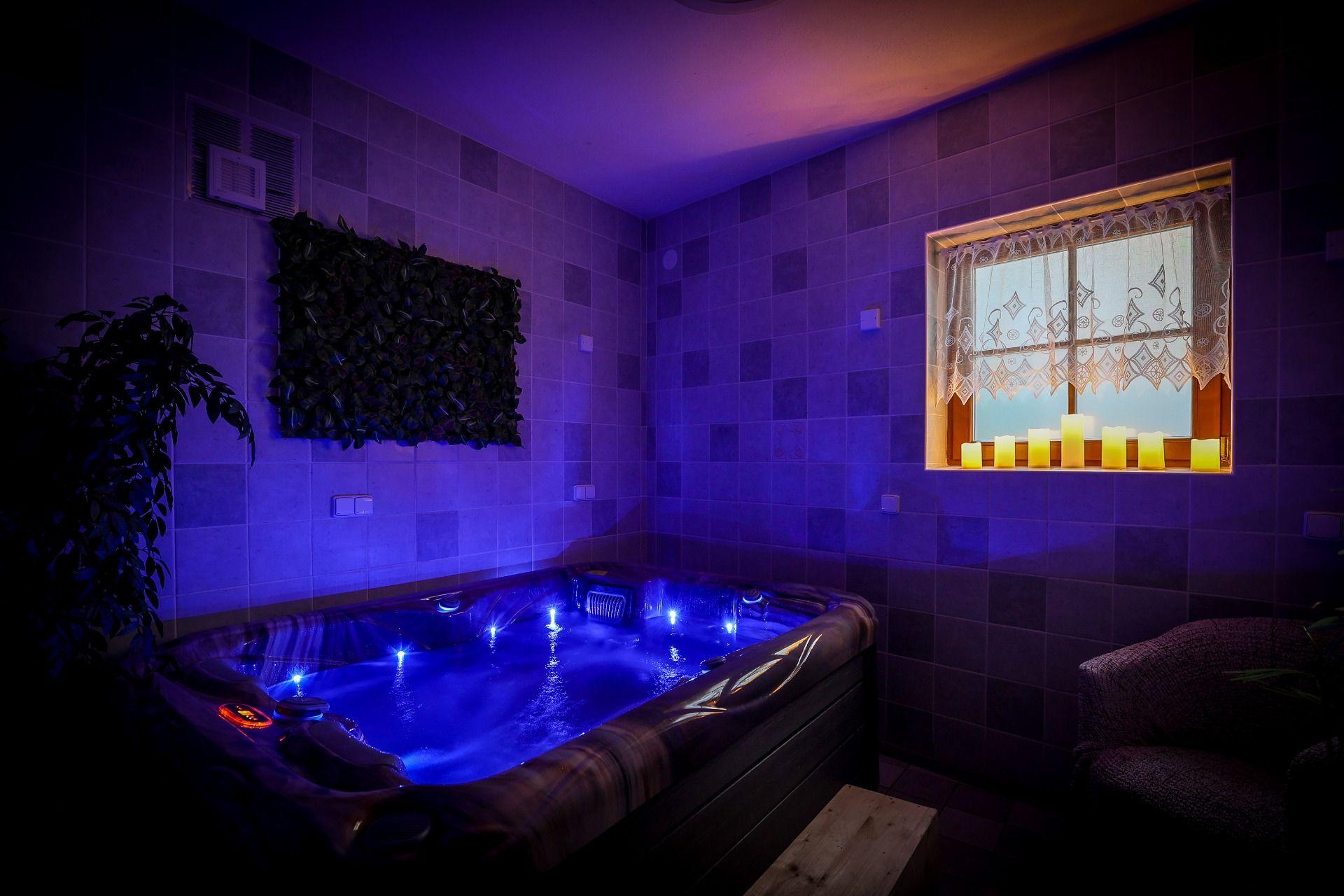 Apartment 1 bedroom  - Pension Pintovka