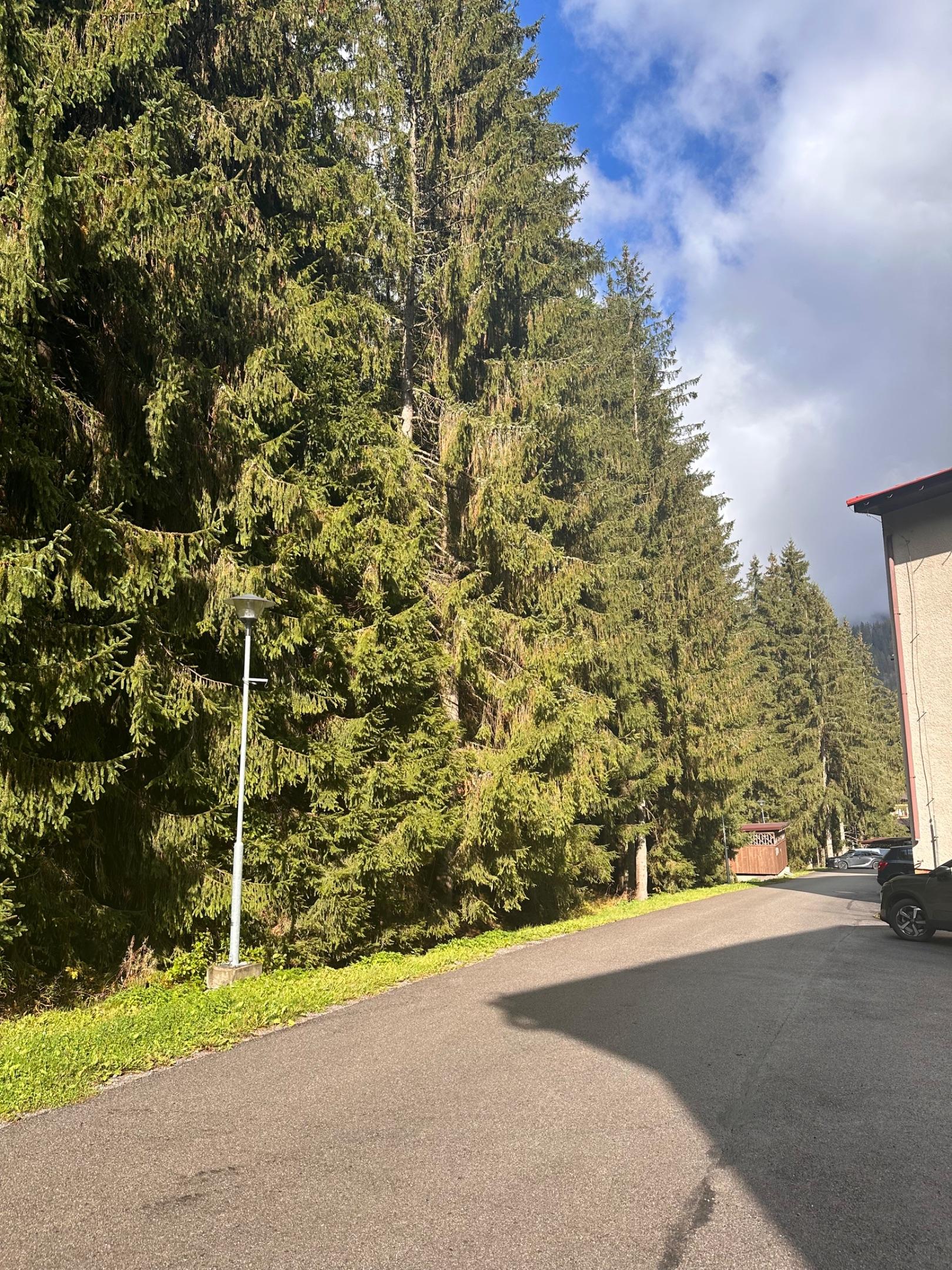 Apartament z 2 sypialniami  - Jasná Escape