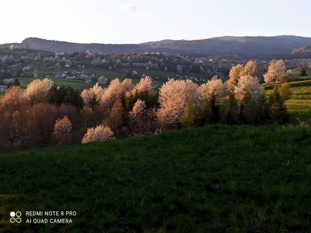 Teren zewnętrzny - Chata pod smrekmi - Hriňová