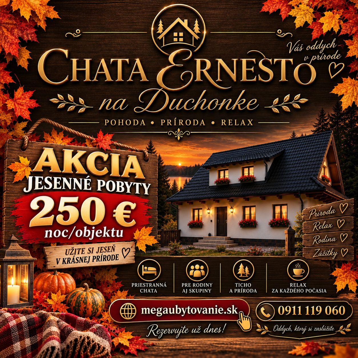 Chata Ernesto 974575