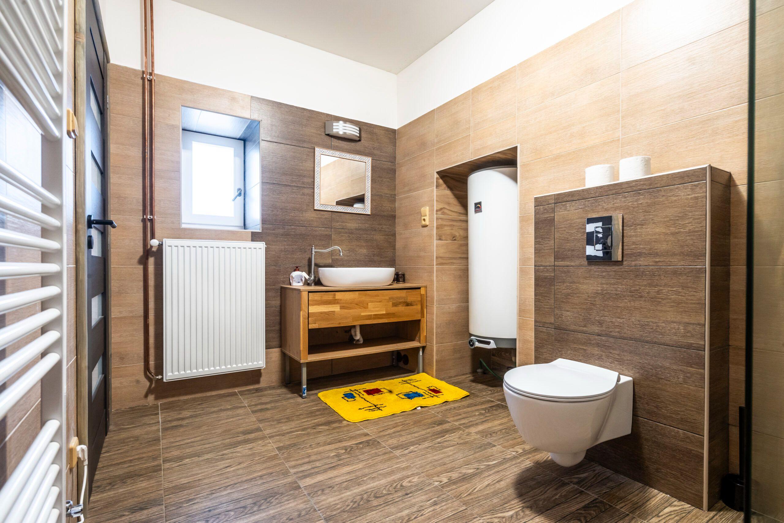 Apartment 1 bedroom  - Apartments Dvůr Dolenec