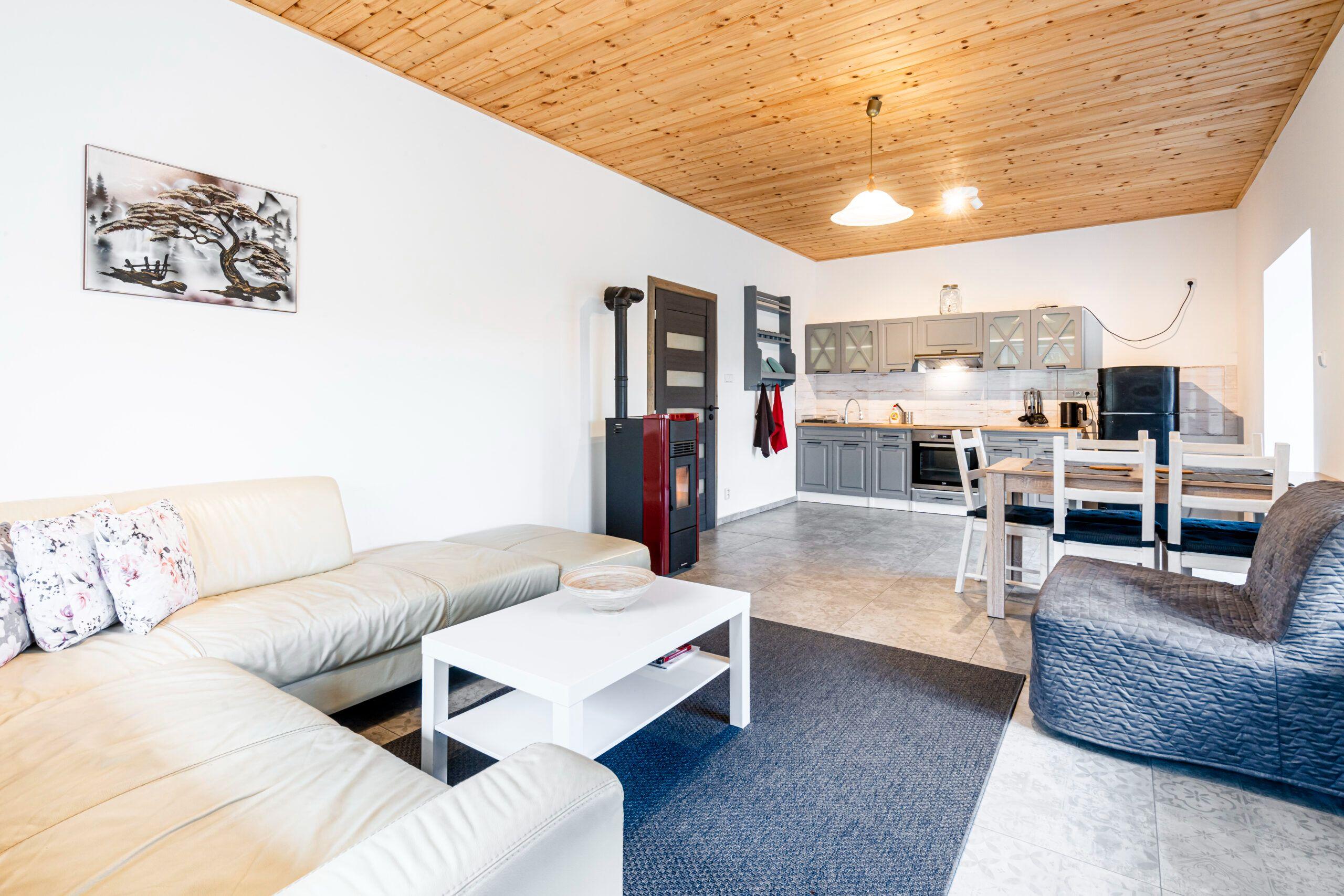 Apartment 1 bedroom  - Apartments Dvůr Dolenec
