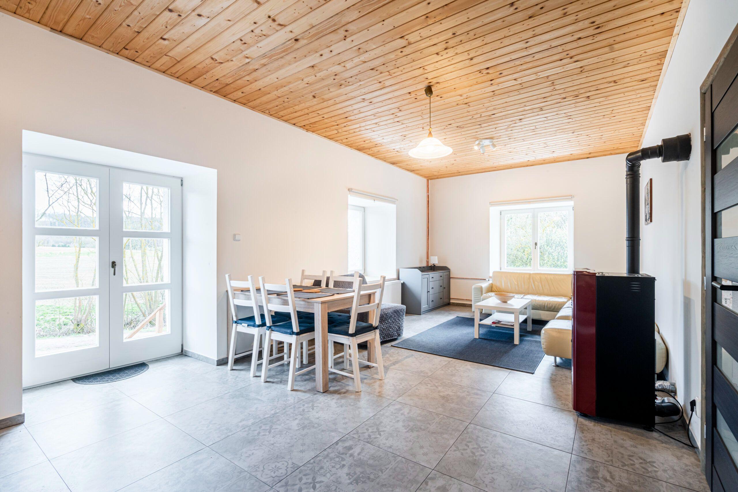Apartment 1 bedroom  - Apartments Dvůr Dolenec