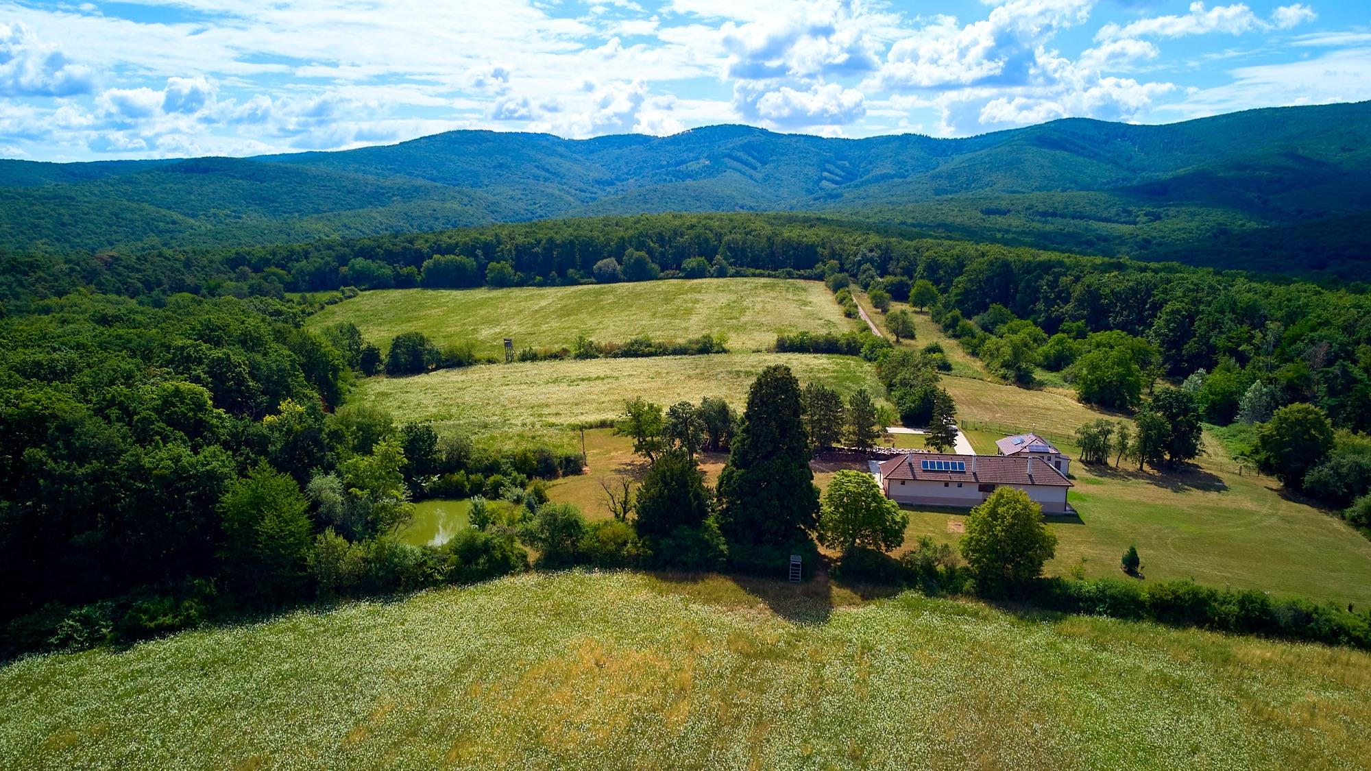 Okolica - Domek Sekvoja Horňany