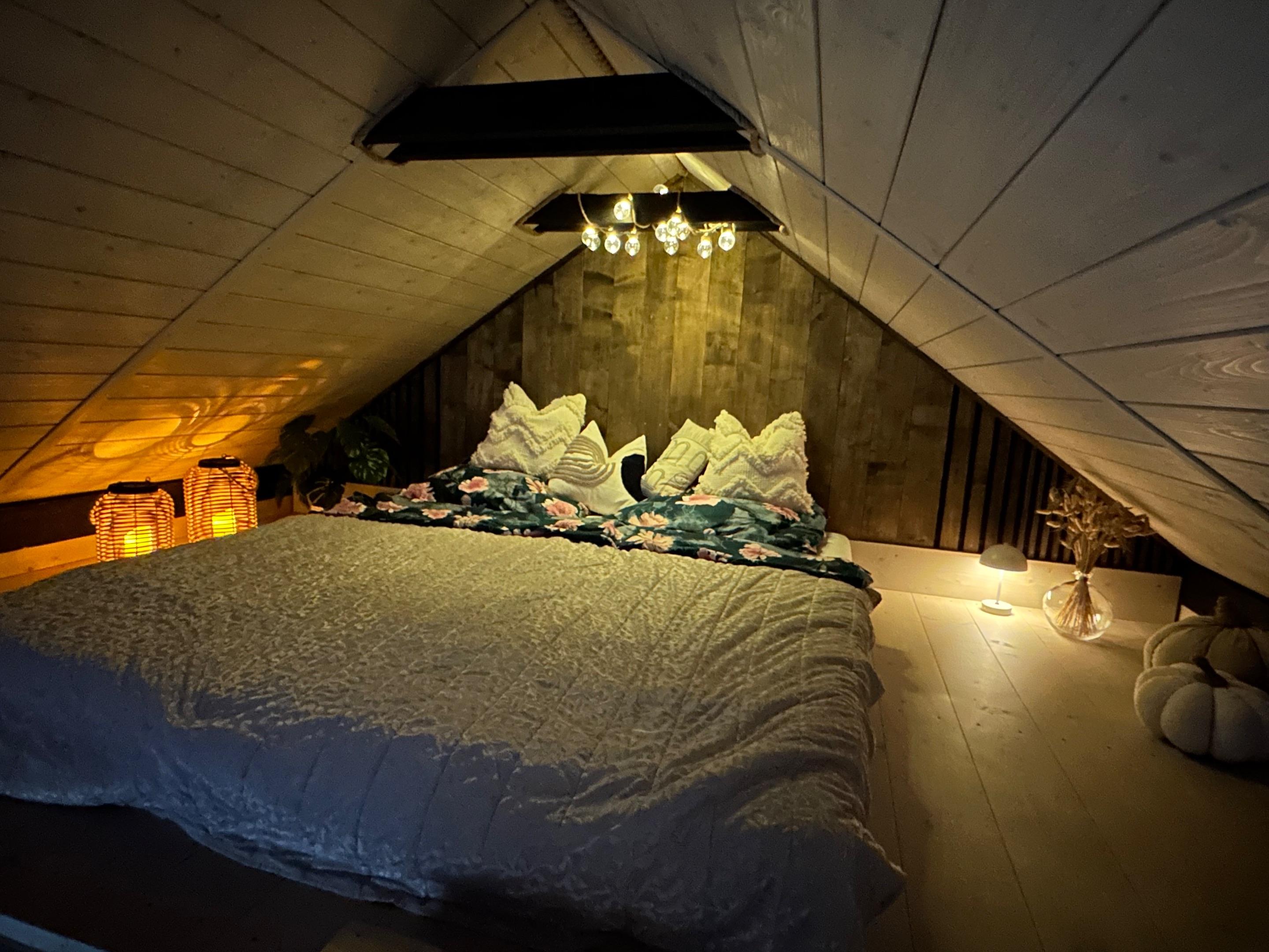 Stelkina chatka Tiny house - Stelkina chatka