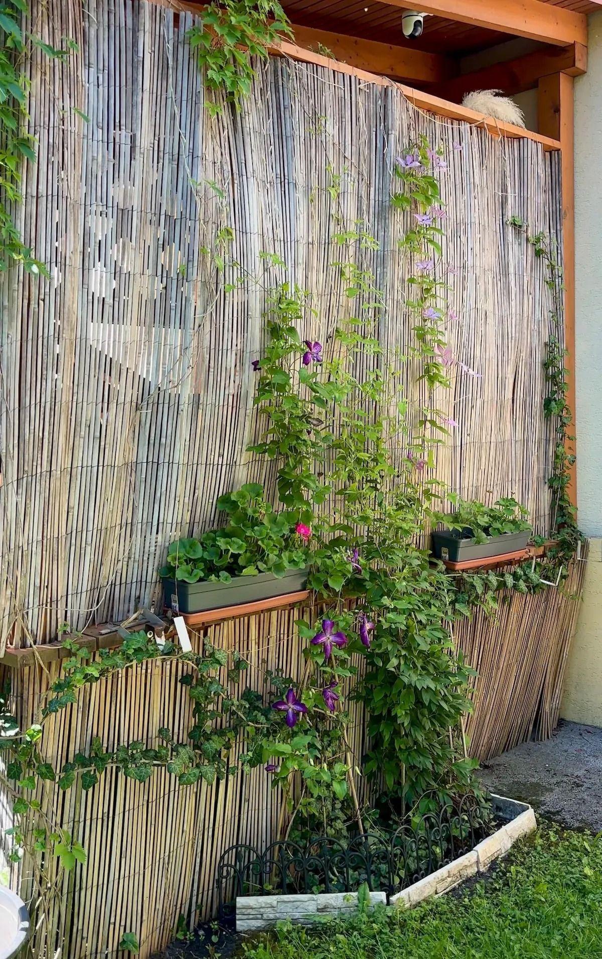 Exteriér - Záhradný apartmán pod Kúpeľmi Sliač