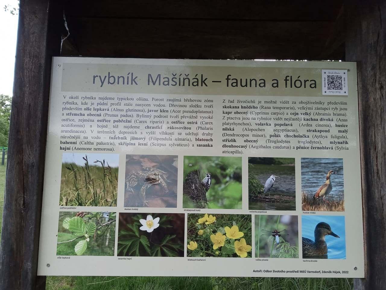 Környék - Prázdninový dům Koliba 